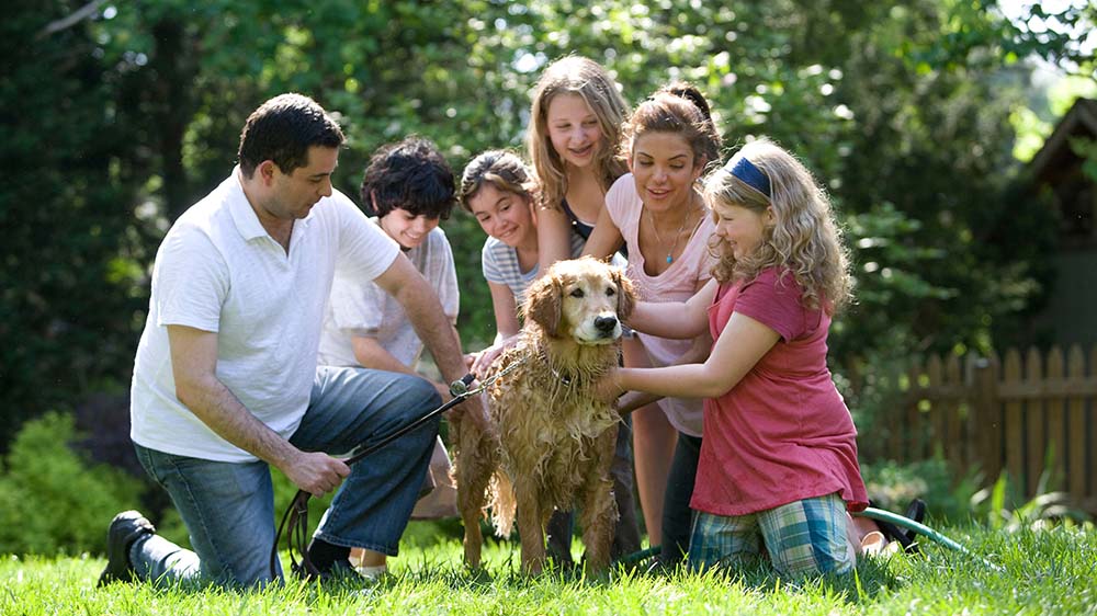 A family in the garden kneeing around their pet dog