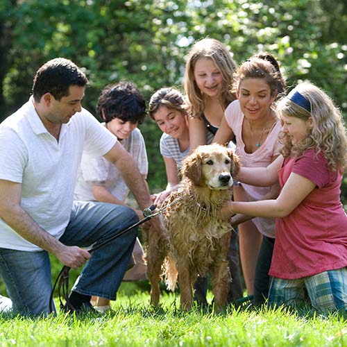 A family in the garden kneeing around their pet dog